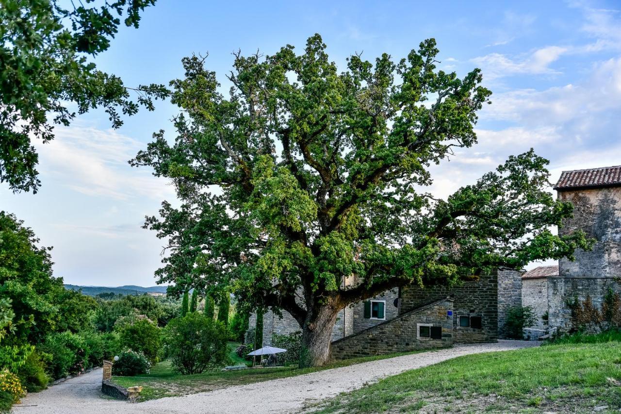 L'Abbraccio Della Quercia Apartment Momjan Bagian luar foto